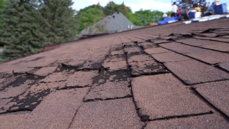Best Roof Coating and Sealing  in Irwin, PA